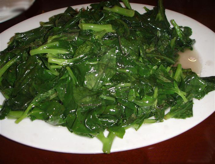 新鲜蔬菜 红军菜 观音菜 白背天葵菜 野菜 500g