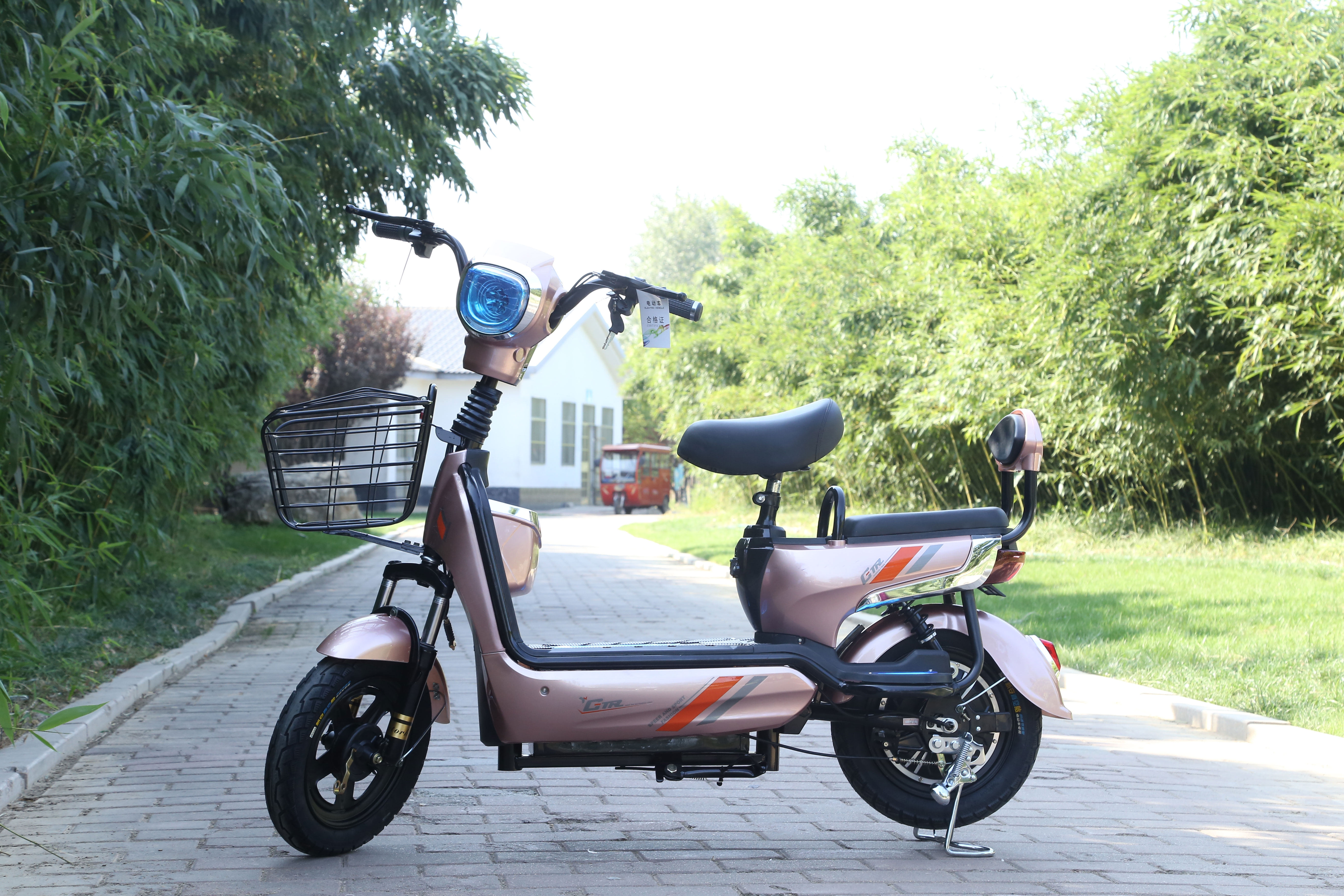 金丝猴电单车电动自行车48v成人电瓶车接送孩子代步车