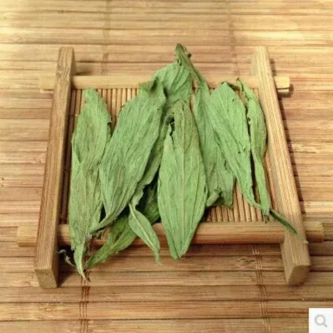 【齐齐龙猫】甜菊叶 龙猫爱吃 杀菌止血帮助消化 清热解毒50克5元