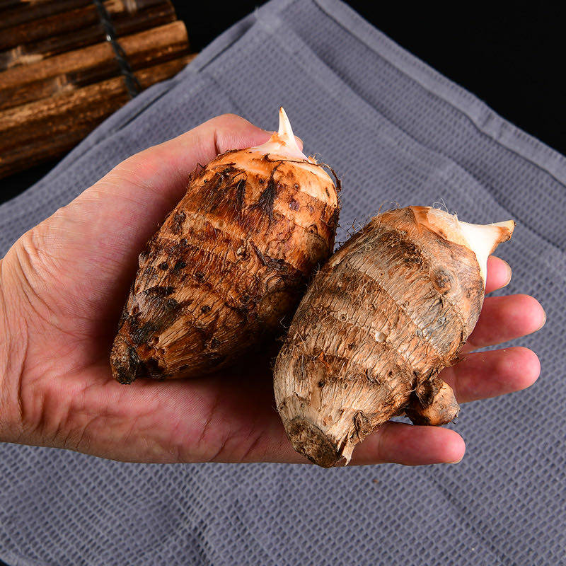 金华新华新鲜红芽芋小芋头香芋10斤装现挖现发芋头