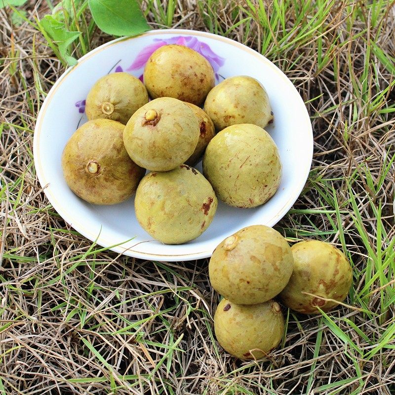 银念广东六祖新兴特产凉果休闲零食爽脆酸辣湿仁面500克特价