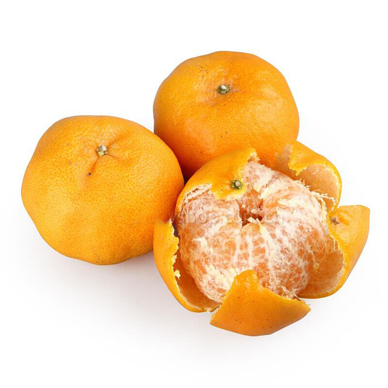 福建正宗永春建阳现摘橘子新鲜薄皮