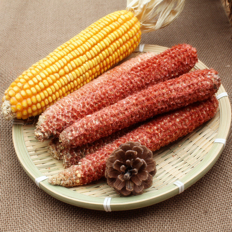 农家纯天然玉米芯 玉米棒芯 玉米心 玉米棒心 棒子芯 宠物玩具