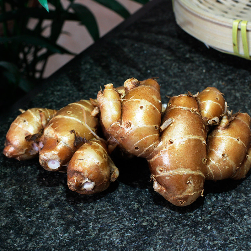 沙姜新鲜现挖正宗广东东沙姜蘸料老沙姜椰子鸡生姜