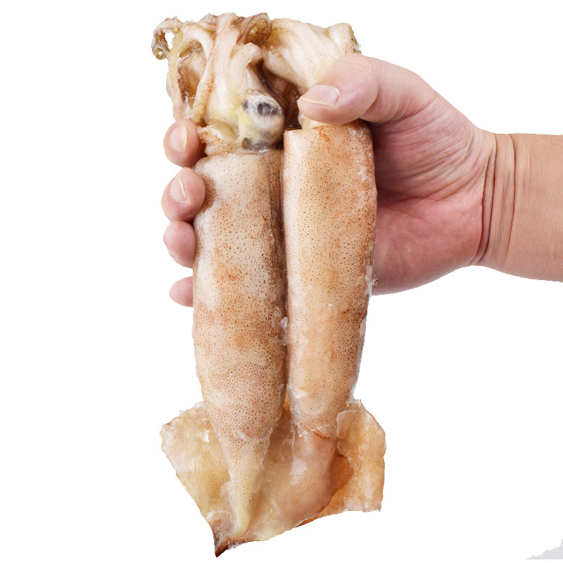 大连船冻新鲜鱿鱼500g冷冻烧烤食材冷冻鱿鱼