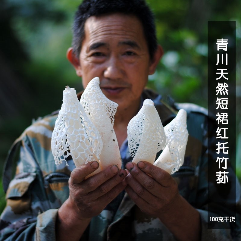 21年农家野外新货青川川竹美味短裙竹荪菌无竹荪