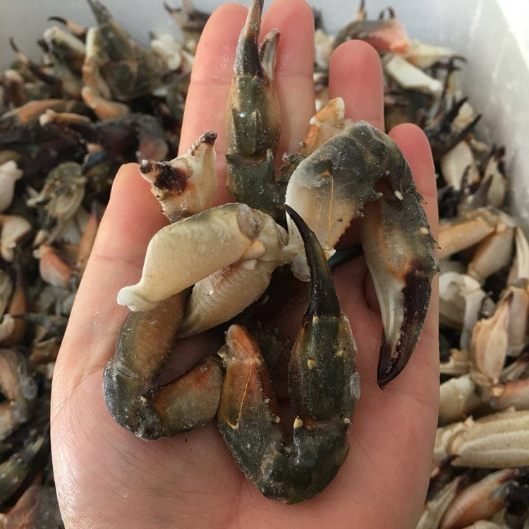 丹东冷冻野生花盖蟹钳深海石蟹脚赤甲红蟹腿生蟹类制品