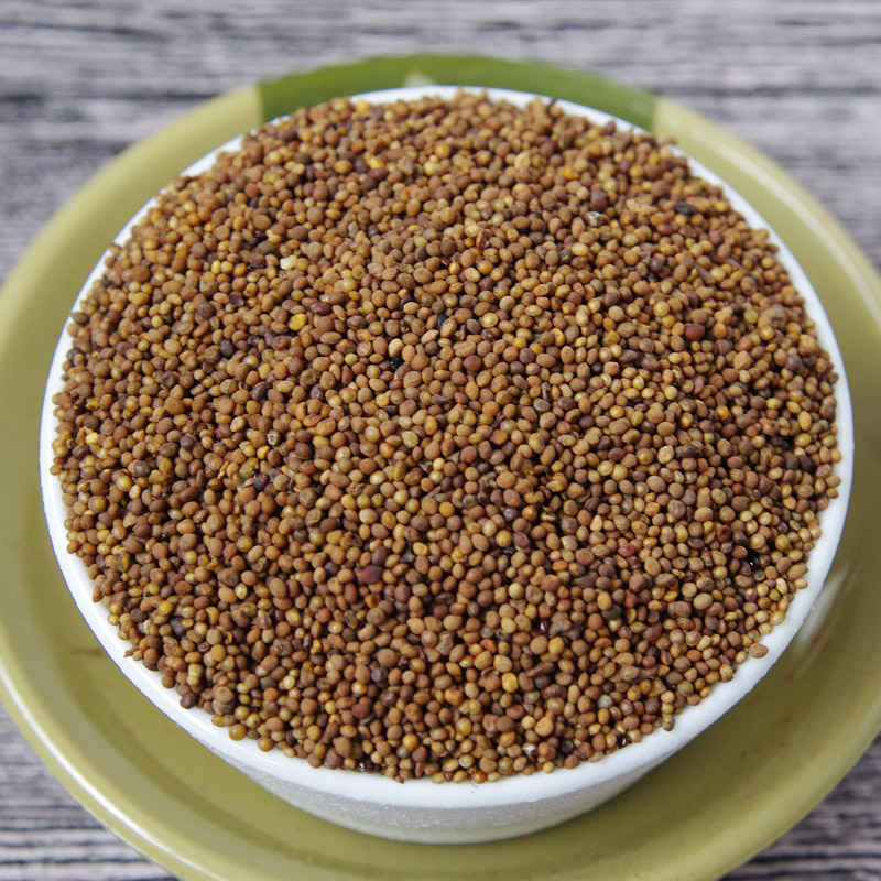 广西菟丝子中药野生泡茶500g男性滋补养生泡酒料食用小吐丝子无硫