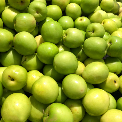 牛奶大青枣5斤装枣子新鲜当季水果大枣包邮鲜枣冬枣特大脆枣贵妃