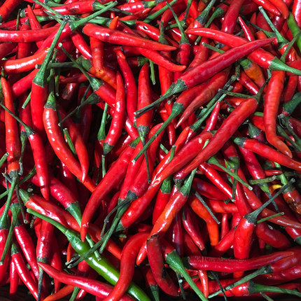 新鲜小米5斤红辣椒菜椒做小米椒