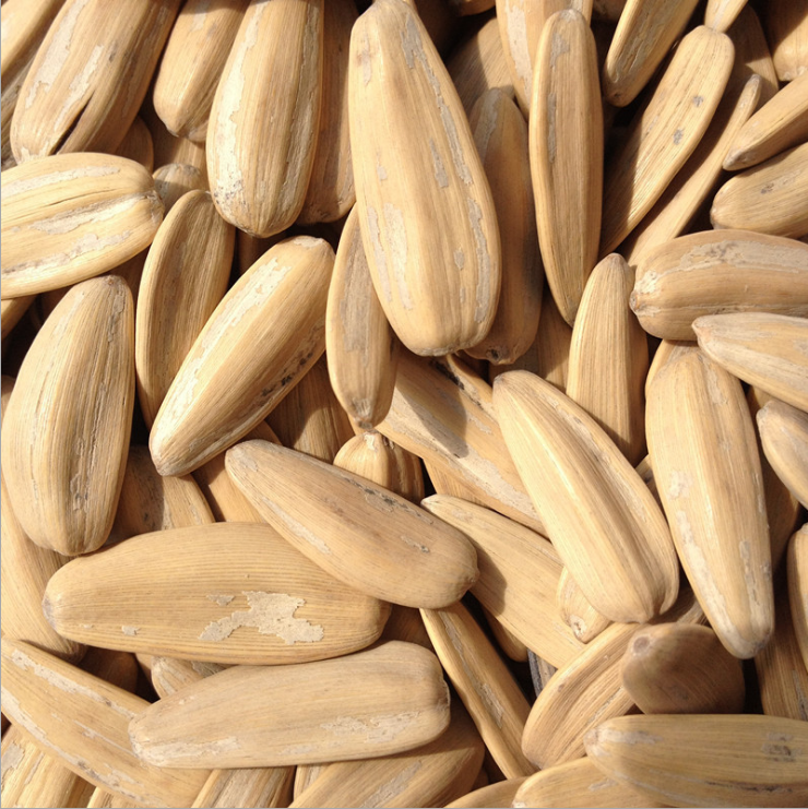 打手张笨仁天津手牌正宗网红瓜子散装休闲零食瓜子