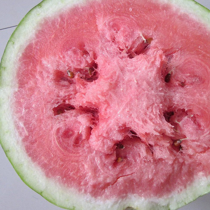 正宗宁夏中卫香山压砂硒砂瓜富硒西瓜石头缝里