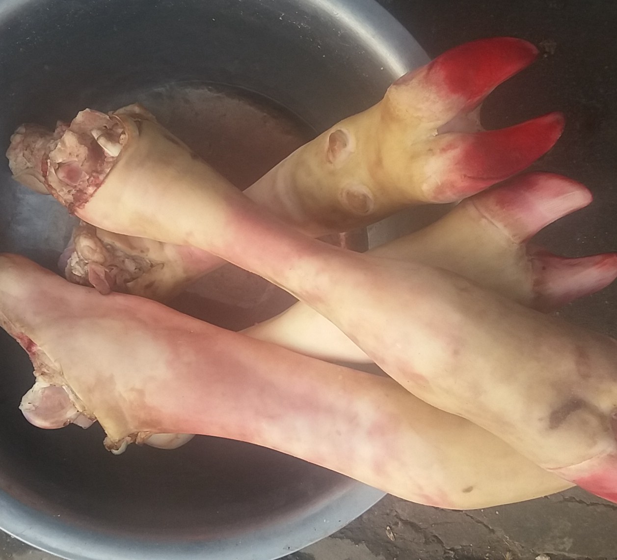 现宰新鲜黄牛蹄子 生牛蹄 有机黄牛蹄牛掌牛脚 手工退毛1000克