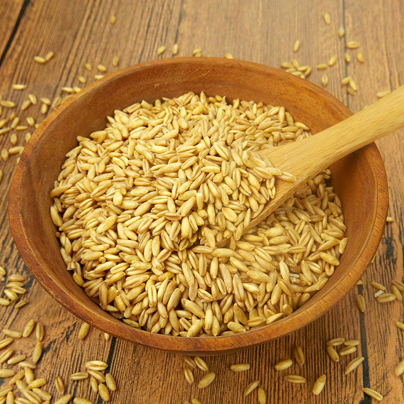 燕麦9斤装农家自种新货麦米麦粒颗粒其它粮食