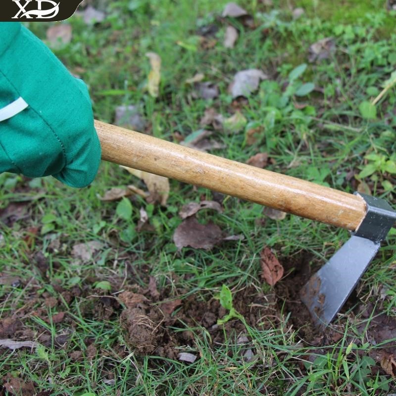 挖笋小型探测手持式菜农用工具挖土冬笋除草锄头