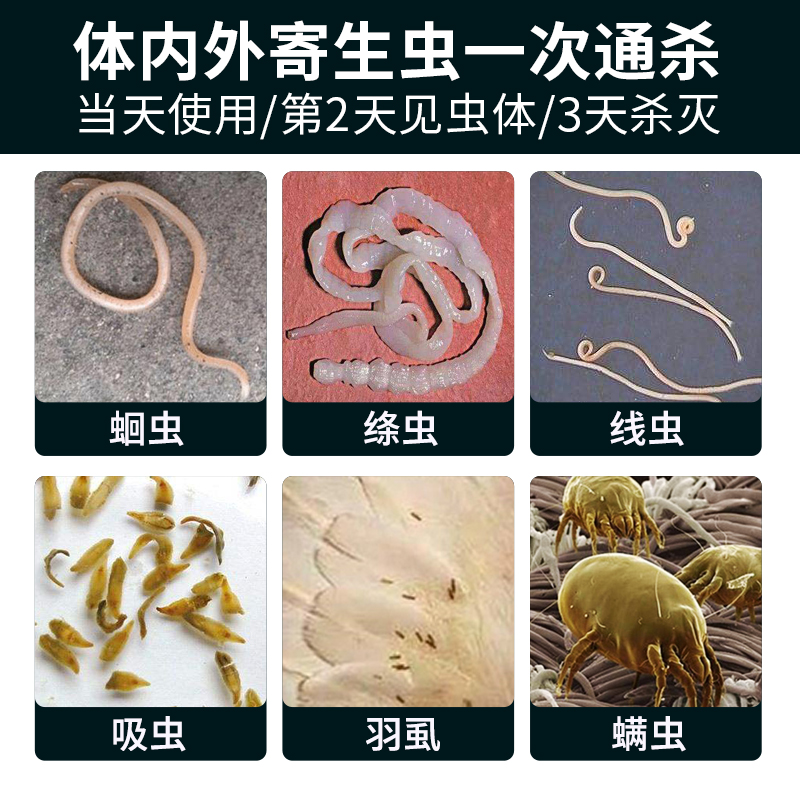 豪翔内外驱虫鸽子羽虱线虫蛔虫血便腹泻体内医疗用品
