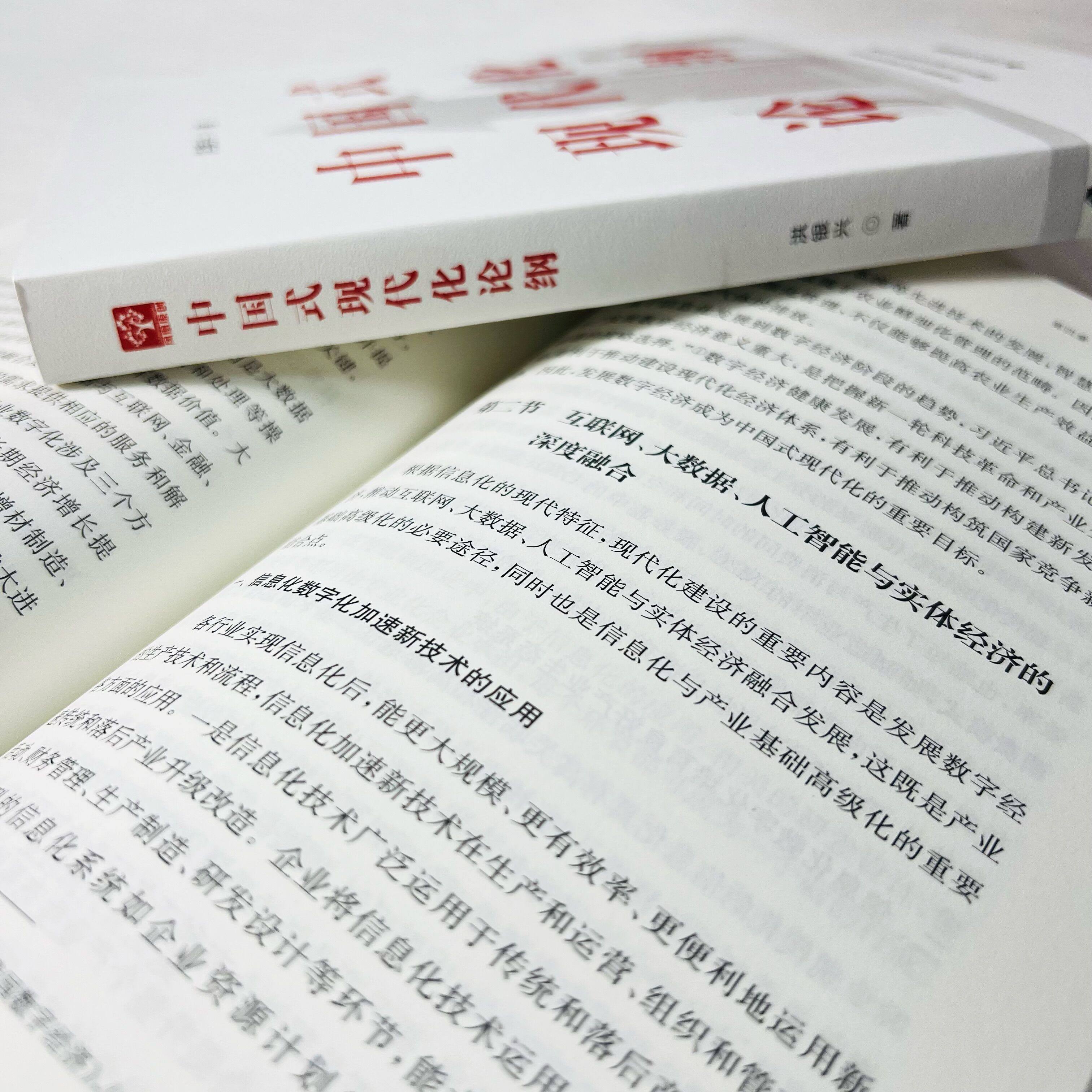 中国式现代化书籍洪银银兴经济学视角解读政治论纲党政读物