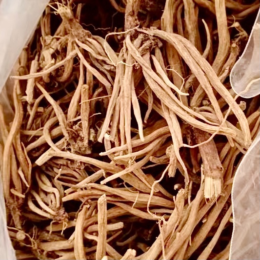 大蓟根新鲜牛口刺刺萝卜虎蓟马蓟根鸡脚刺根刺蓟根其他药食同源食品