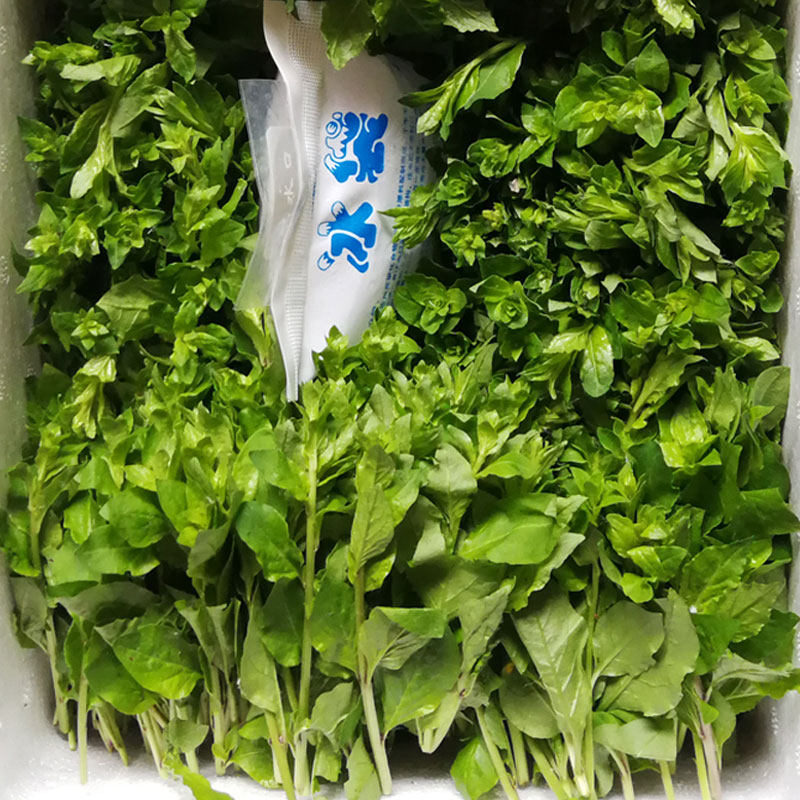 野生枸杞菜嫩芽现摘野菜枸杞头养生蔬菜枸杞叶清火益眼新鲜枸杞芽