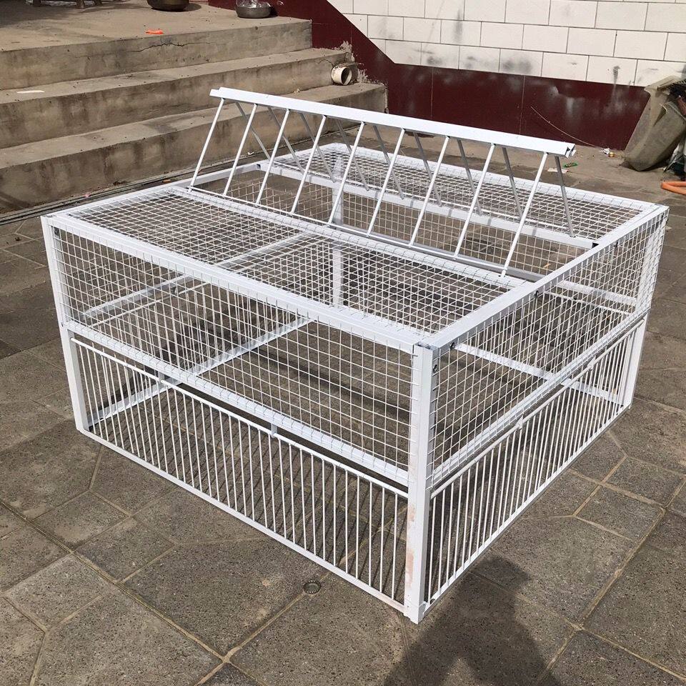 鸽子捕鸽神器撞门笼大码天落笼只不出加密天落笼子