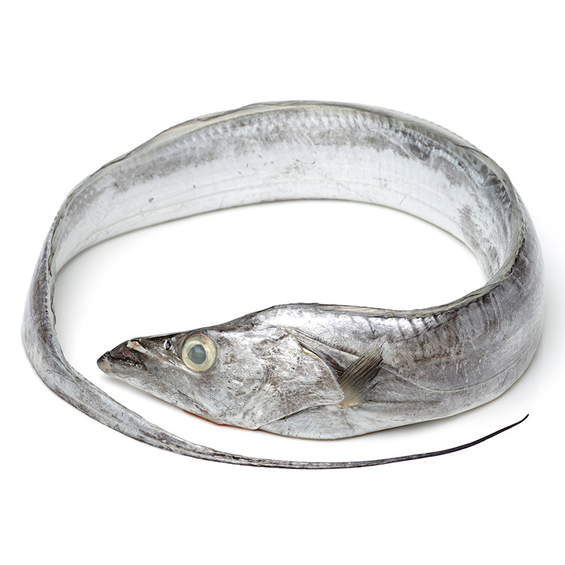 大连正宗渤海湾带鱼礼包新鲜冷冻小眼刀鱼深海带鱼