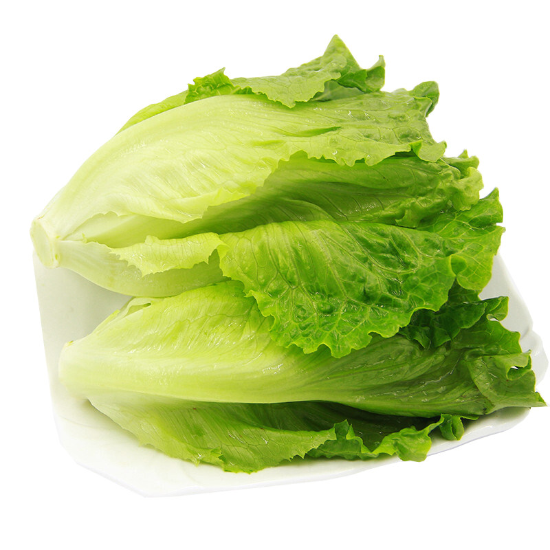 生菜新鲜蔬菜罗马罗文罗纹沙拉西餐350g满额其它