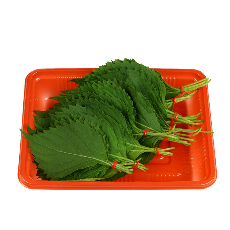 新鲜蔬菜80片叶约烤肉韩国菜叶紫苏绿色苏子叶其它