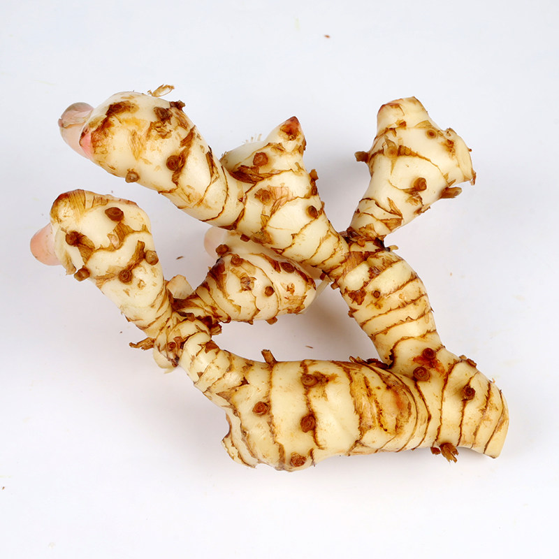 新鲜南姜广东老姜食用姜姜潮州姜野生山姜满泰式 冬阴功汤5份 包邮