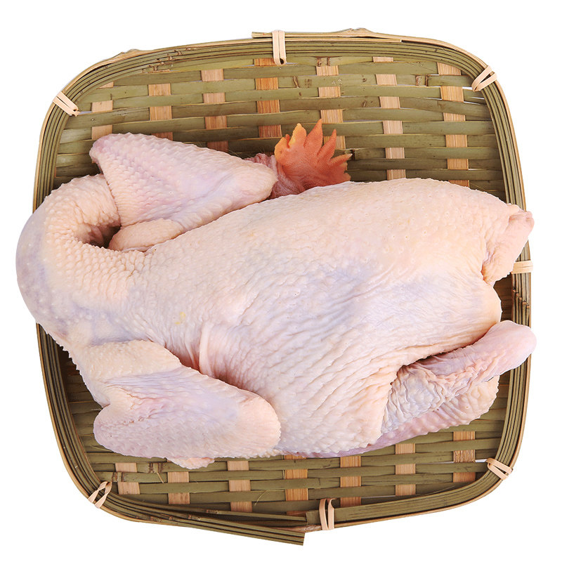 凤中皇清远鸡皇后鸡老母鸡土鸡农家整只鸡靓汤鸡走地鸡900g