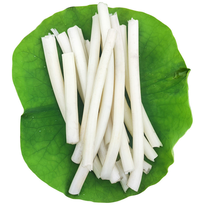 藕带洪湖新鲜现采肠子芽闭藕节蔬菜3斤装现挖莲藕