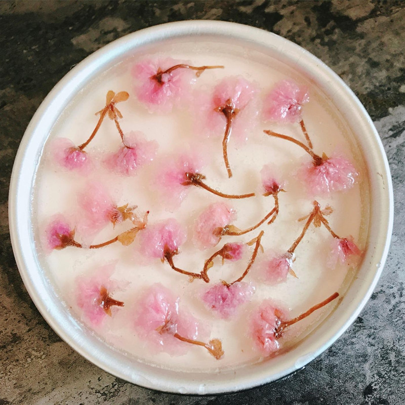 樱花糖渍盐渍日本盐浸腌渍八重樱长柄泡水500克其它原料