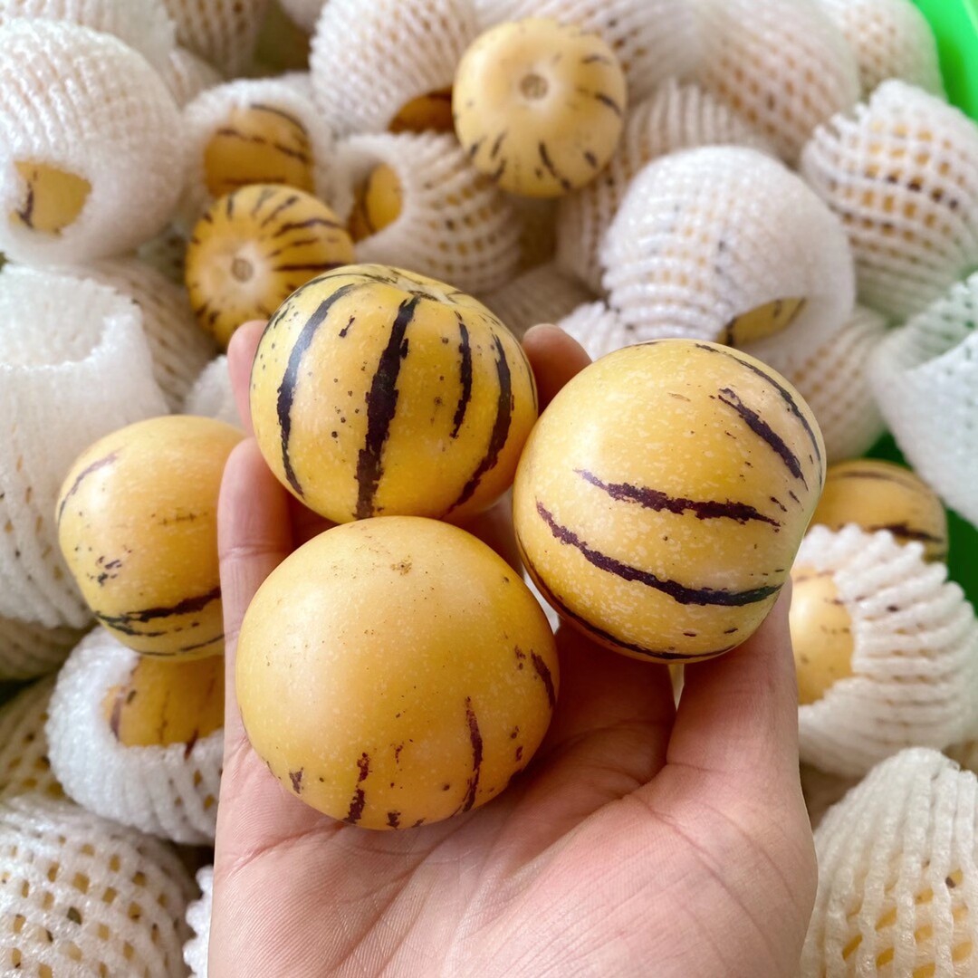 云南人生果菜鸡蛋果鸡蛋七彩果七黄肉石林圆果其它