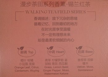 MIDI Walking Tea Field Series Rattan Aromatherapy Ceylon Black Tea Qishan Raw Tea Darjeeling White Tea Fragrance Fireless