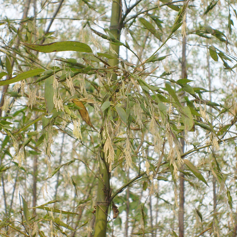 丹情去购买06158元发货地:湖北 十堰包邮06158折后:06158价格