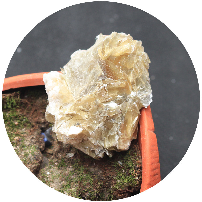 易晶缘水晶天然金云母原石摆件块状标本石矿石奇石