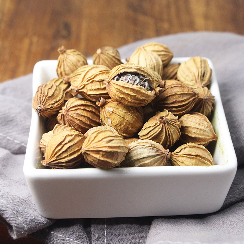 香砂50克川沙金砂仁仁大砂仁炖肉卤味调料香料花椒