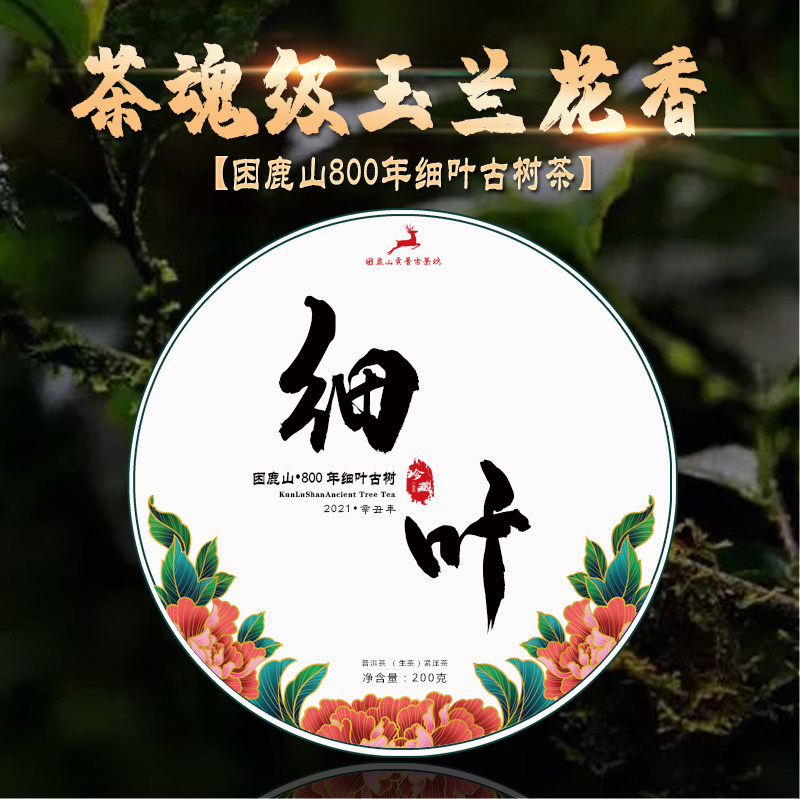 2021普洱茶生茶困鹿山800年细叶500年单株420年古树普洱