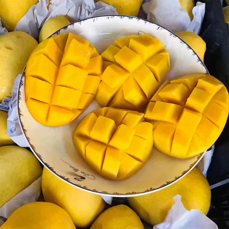 6月上架鲜予缅甸云南德宏钻石石级水果圣德龙芒果
