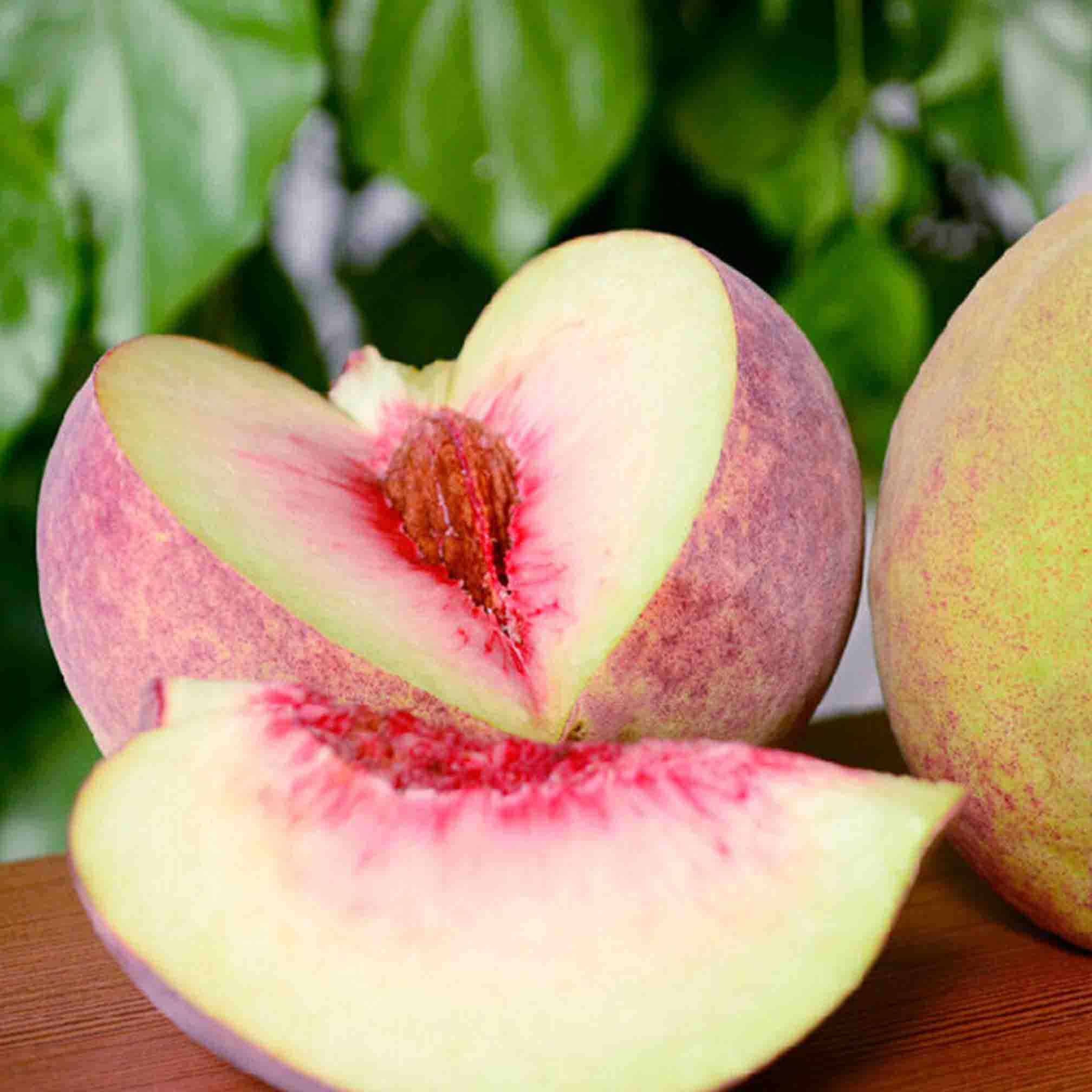 丽江江雪云南特产拉市桃子新鲜孕妇水果血桃桃