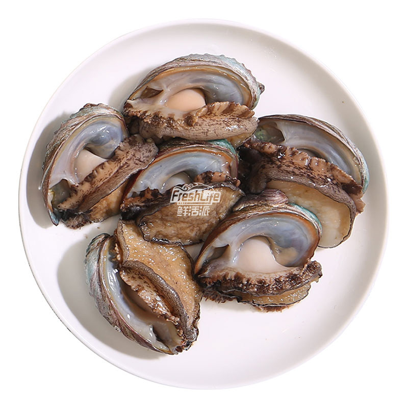 昆明单只海鲜九孔鲍贝天然特级鲍鱼大连鲜活鲍鱼