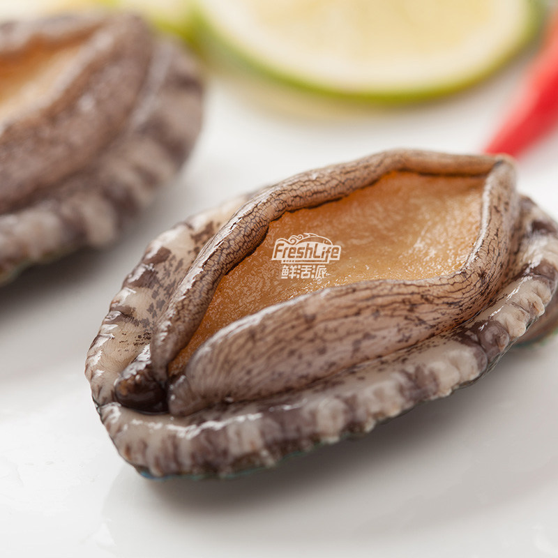 昆明单只海鲜九孔鲍贝天然特级鲍鱼大连鲜活鲍鱼