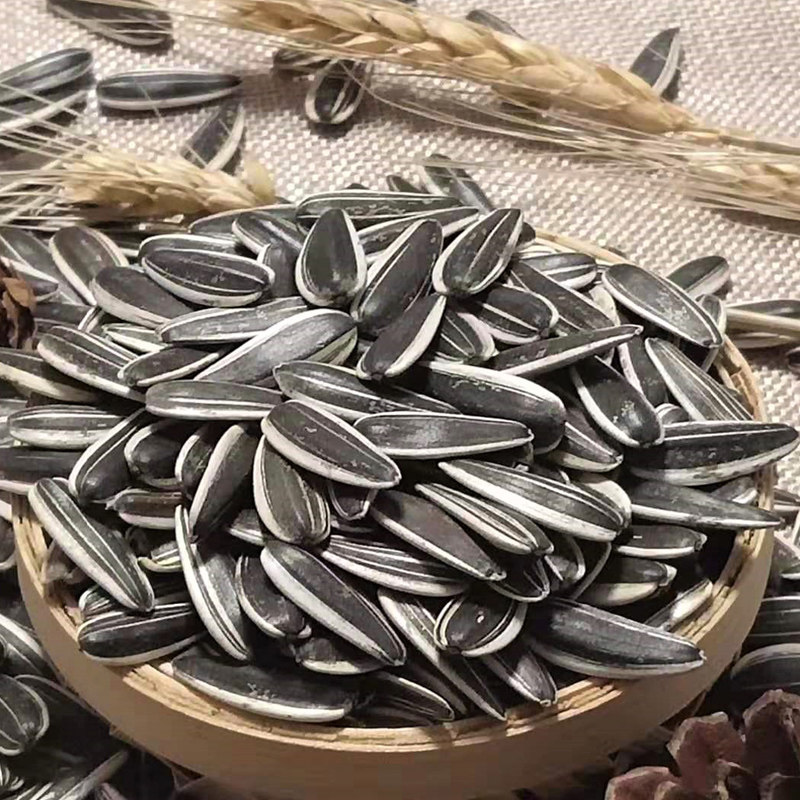 生瓜子原味601生葵花籽向日葵瓜子新货葵花瓜子毛嗑散装特级5斤