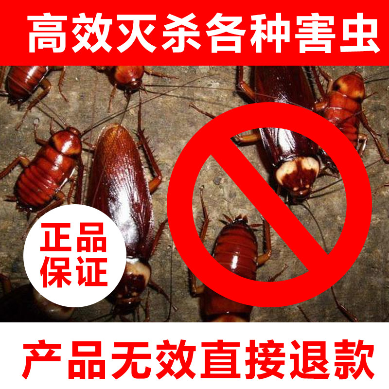 杀虫粉剂灭潮虫蟑螂驱虫家用蜈蚣除蚂蚁臭虫螨虫无毒全窝端百虫灵