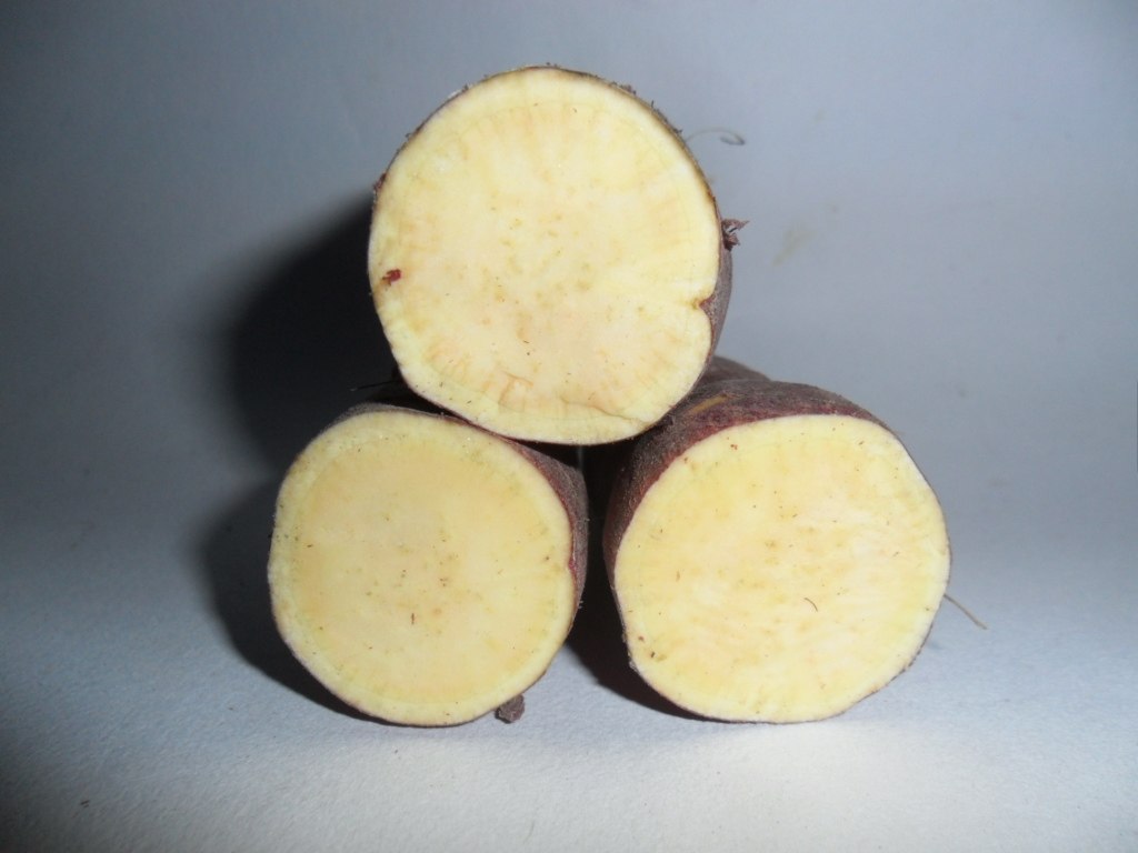 临安天目山小香5斤大号新鲜黄心红薯番薯甘薯番薯