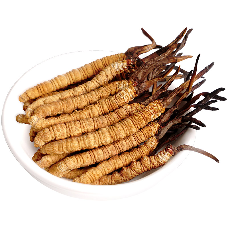 青源堂玉树冬虫夏草5条/克一级5克礼盒装虫草非西藏那曲东虫夏草