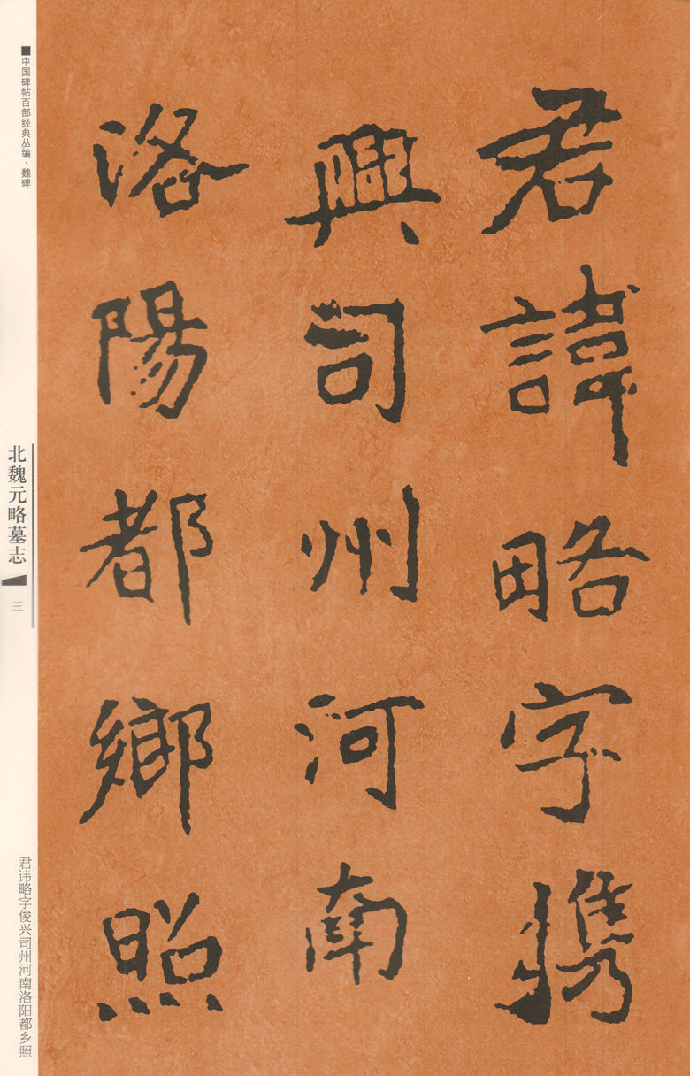 碑帖经典正版字帖美术凤凰江苏书法家名代名书法