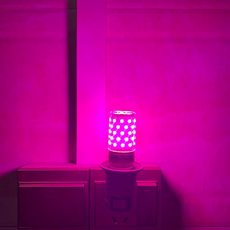 LED插电小夜灯氛围卧室蓝色拍照补光粉色七彩抖音同款紫色网红灯 LED插电小夜灯氛围卧室蓝色拍照补光粉色七彩抖音同款紫色网红灯