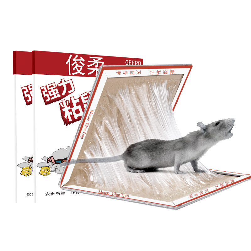 10张装老鼠贴超强力粘鼠板灭鼠神器