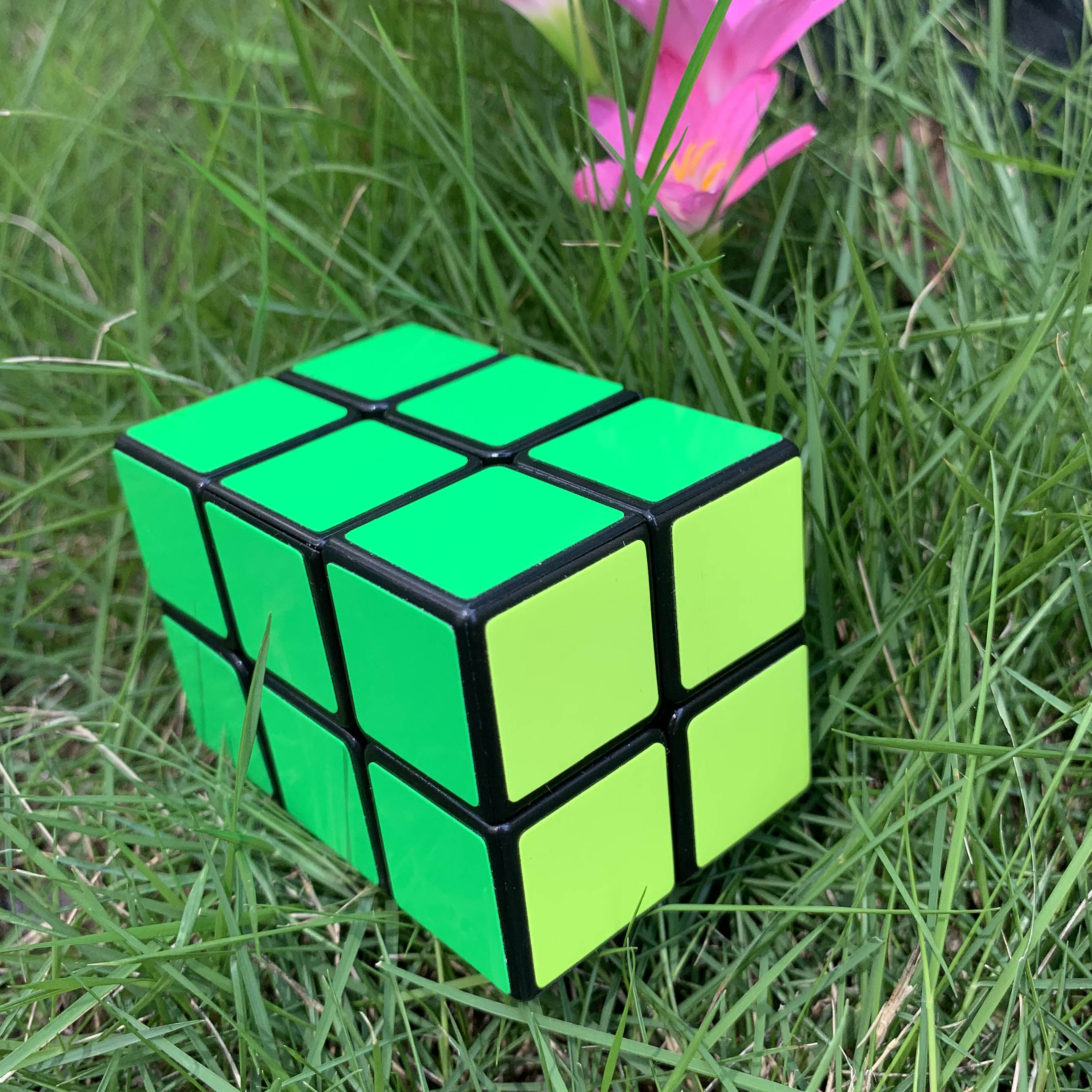 入门智力童益阶儿魔方毛毛虫二阶黄麻麻布丁枫叶魔方