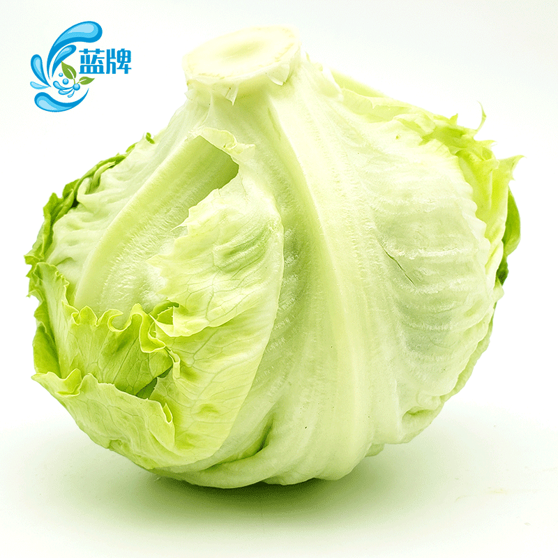 生菜蓝牌新鲜iceberg沙拉菜球西餐色拉500克5份其它